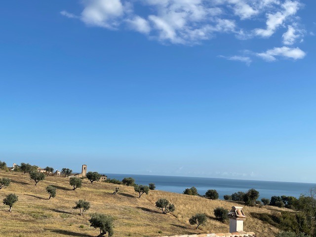 Gelsomoro — 12
